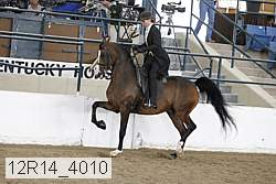 12r14_4010 proof