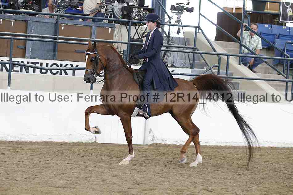 Proof 12r14_4012