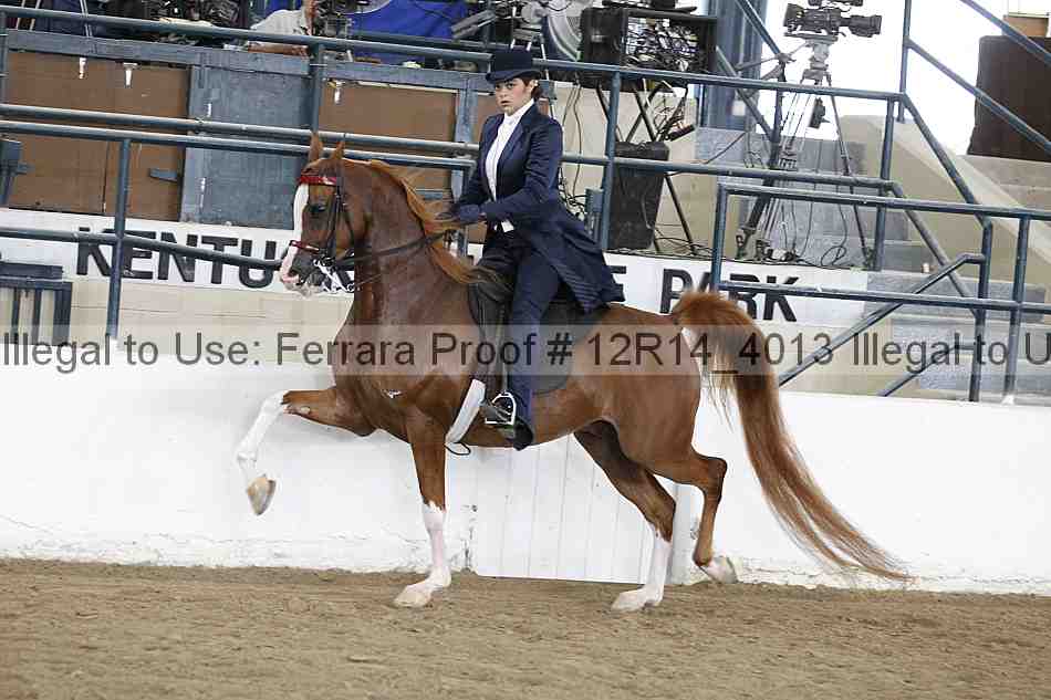 Proof 12r14_4013