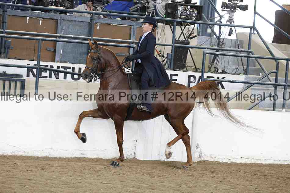 Proof 12r14_4014