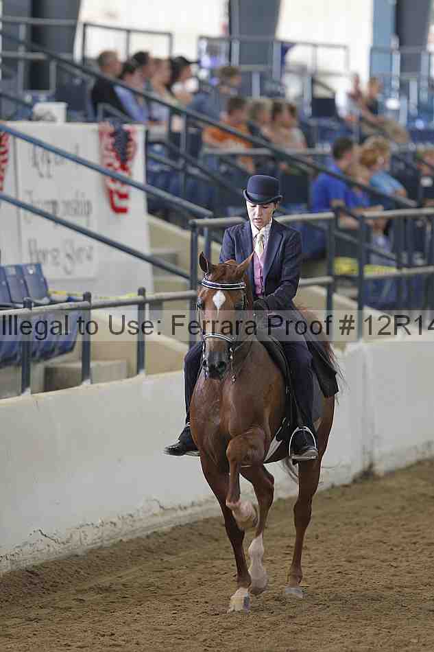Proof 12r14_4015