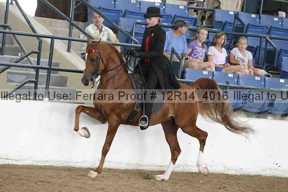 Proof 12r14_4016