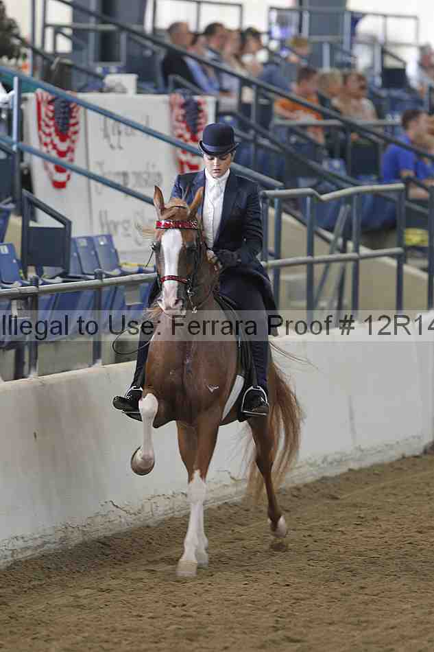 Proof 12r14_4017