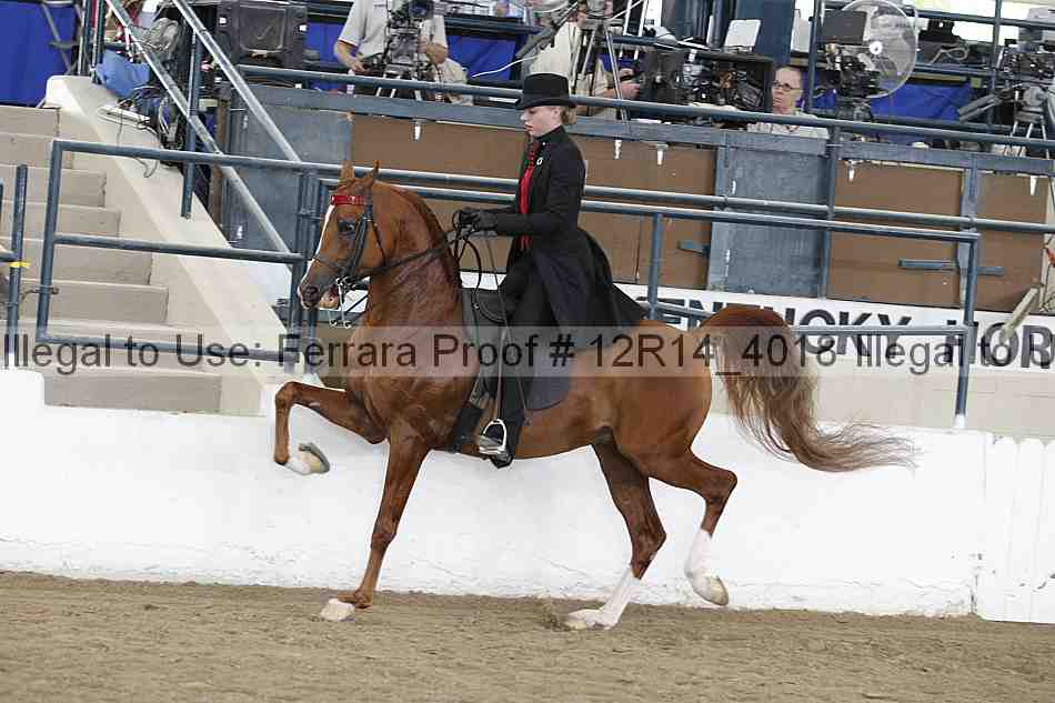 Proof 12r14_4018