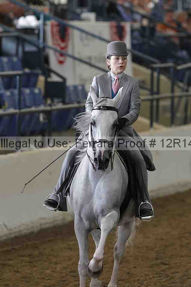 Proof 12r14_4020