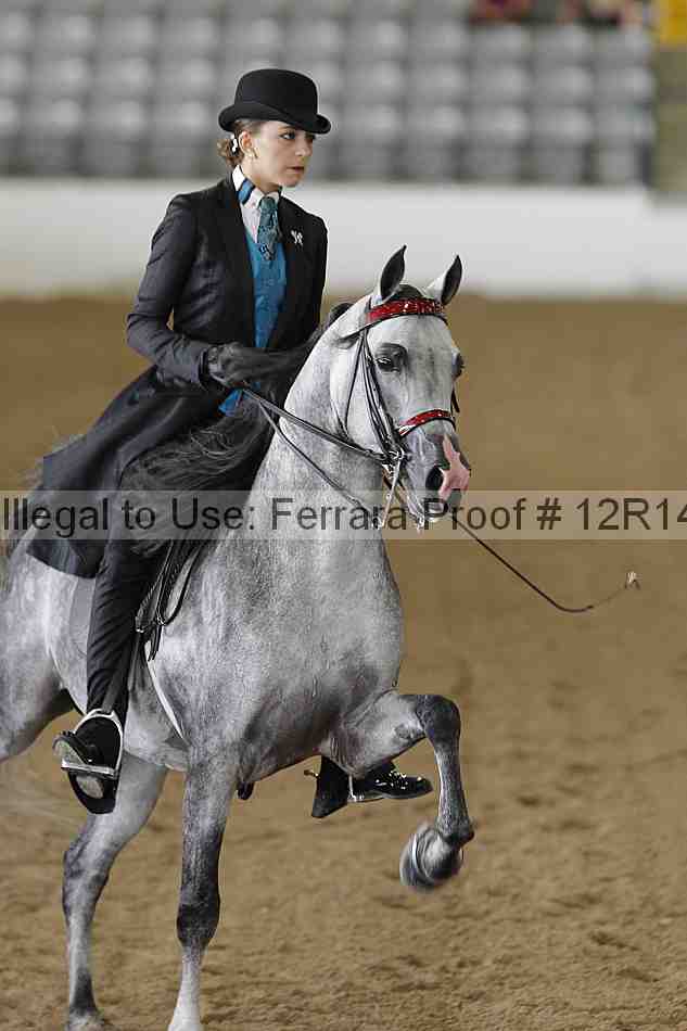 Proof 12r14_4022