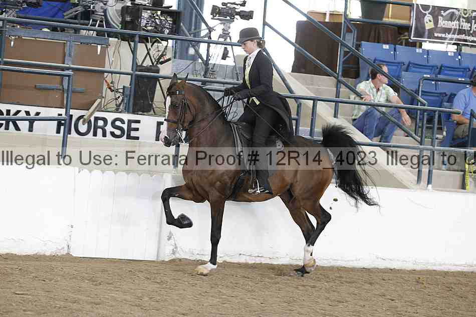 Proof 12r14_4023