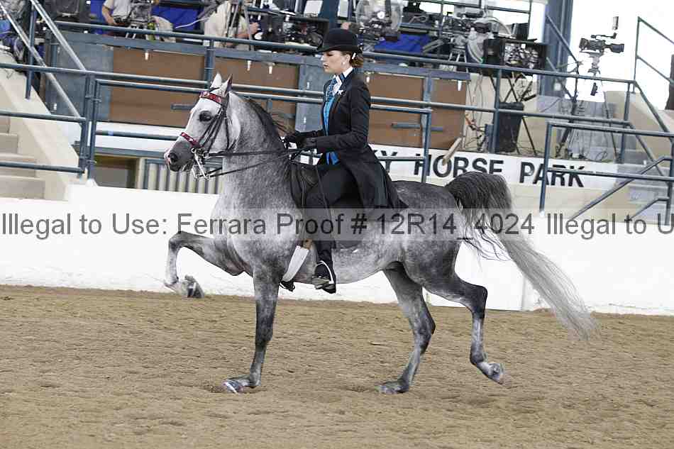 Proof 12r14_4024