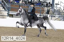 12r14_4024 proof