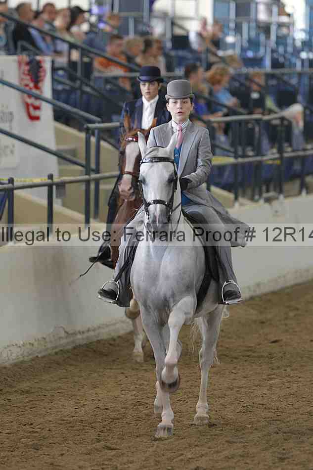 Proof 12r14_4028