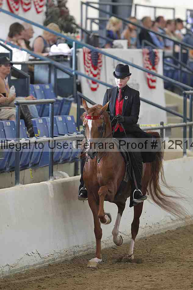 Proof 12r14_4029