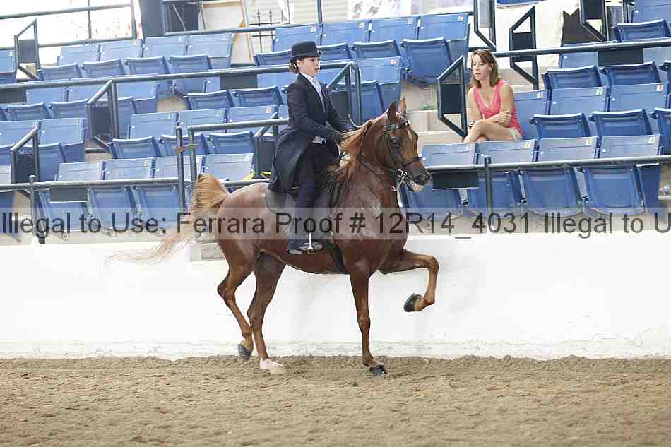 Proof 12r14_4031