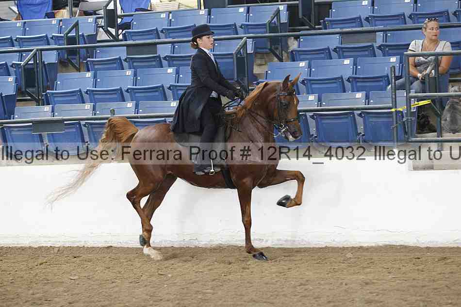 Proof 12r14_4032