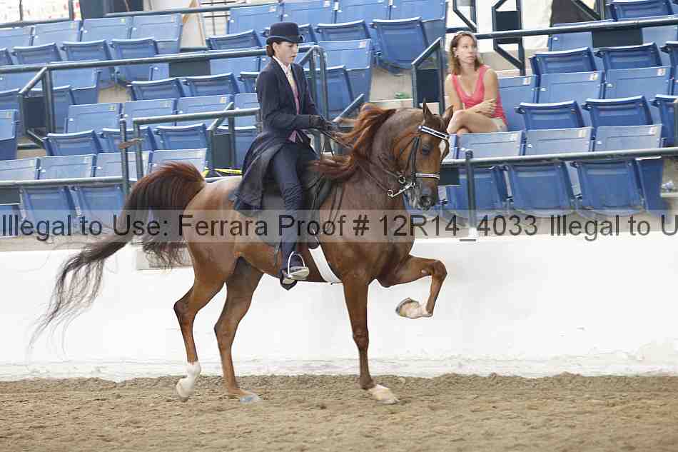 Proof 12r14_4033