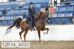 12r14_4033 proof