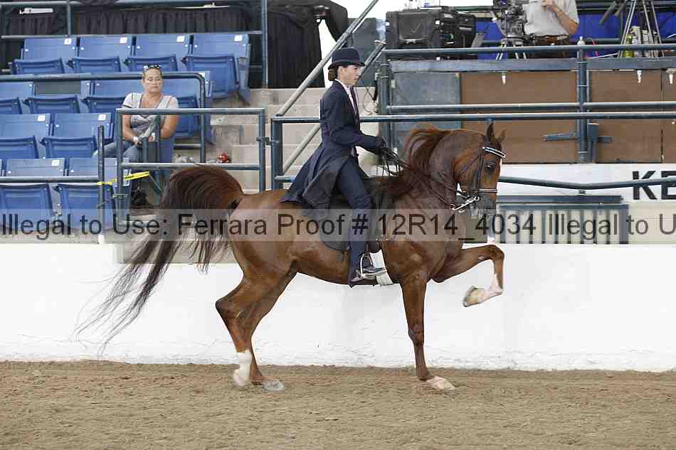 Proof 12r14_4034