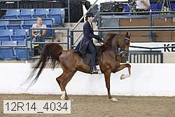 12r14_4034 proof