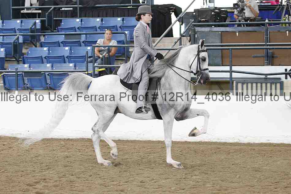 Proof 12r14_4036
