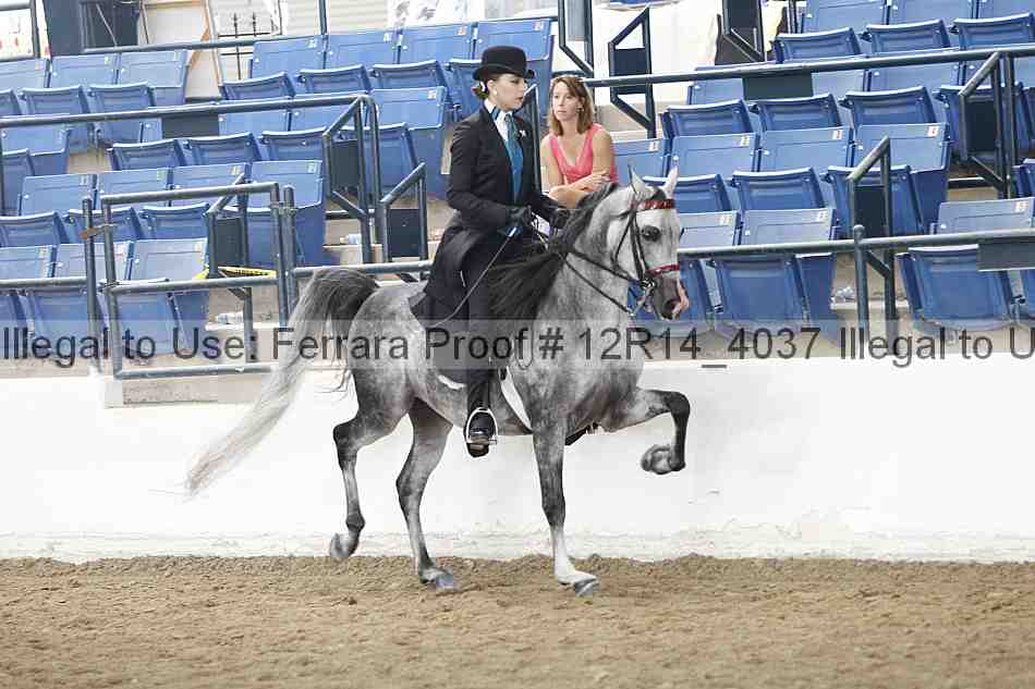 Proof 12r14_4037