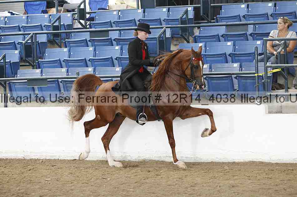 Proof 12r14_4038