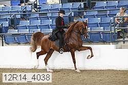12r14_4038 proof