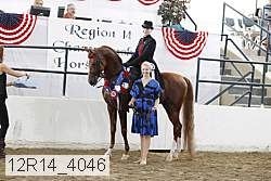 12r14_4046 proof