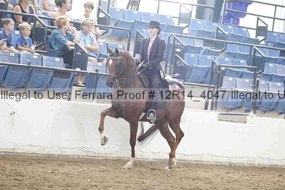 Proof 12r14_4047
