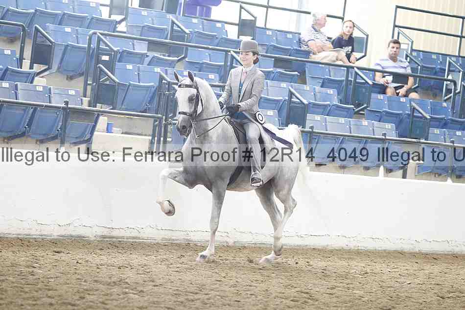 Proof 12r14_4049