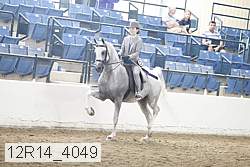 12r14_4049 proof