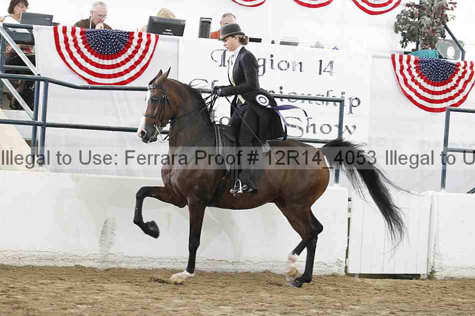 Proof 12r14_4053