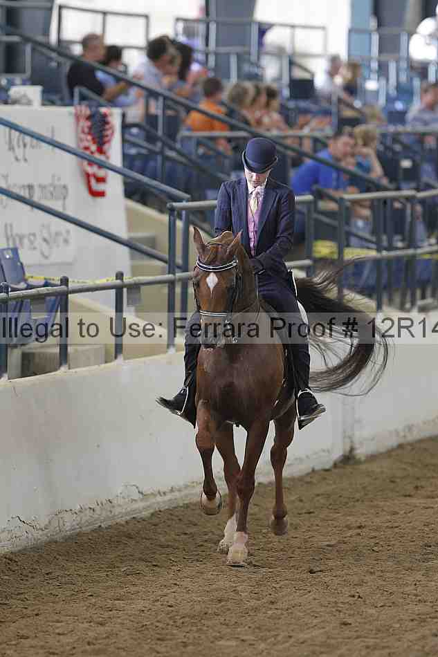 Proof 12r14_4054