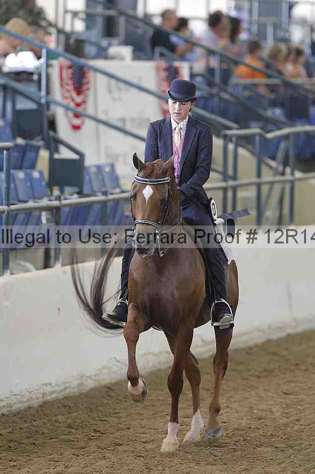 Proof 12r14_4055