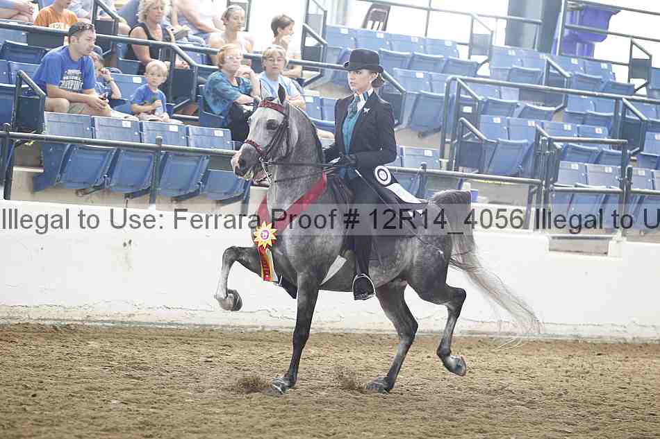Proof 12r14_4056