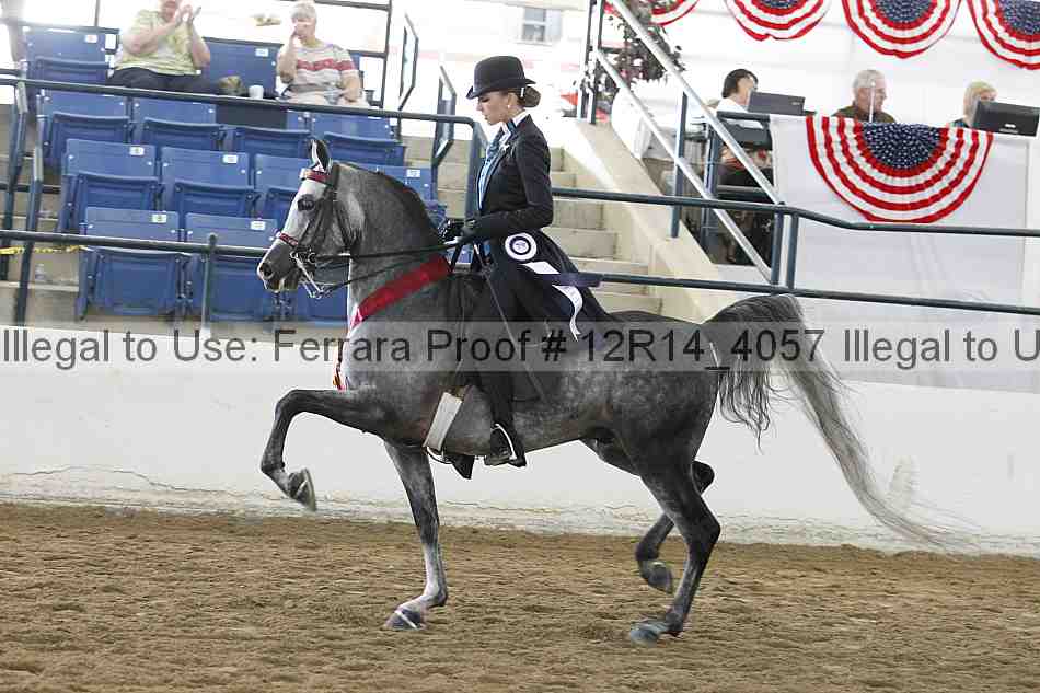 Proof 12r14_4057