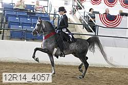 12r14_4057 proof