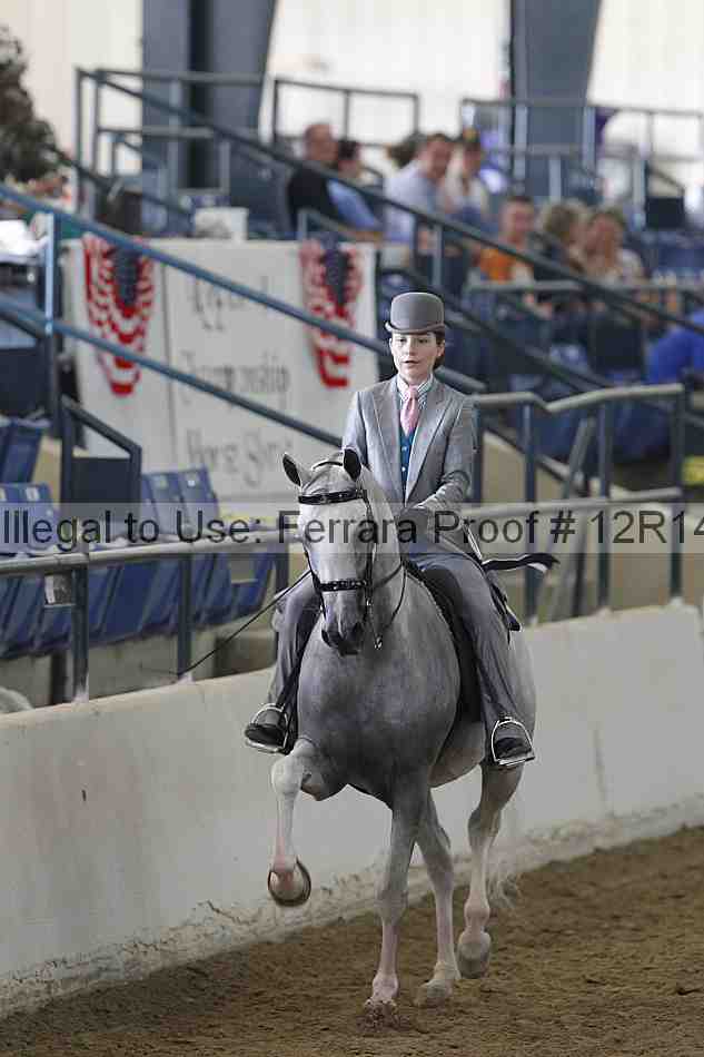 Proof 12r14_4058