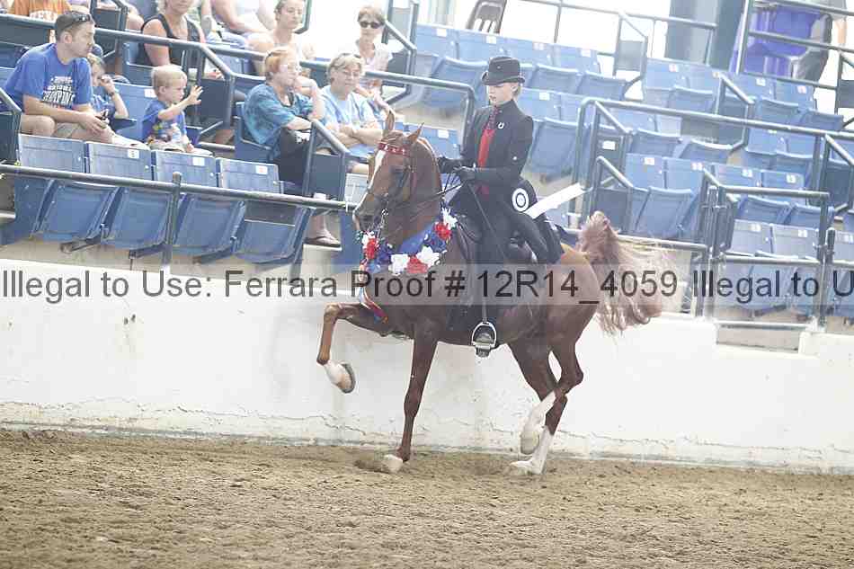 Proof 12r14_4059