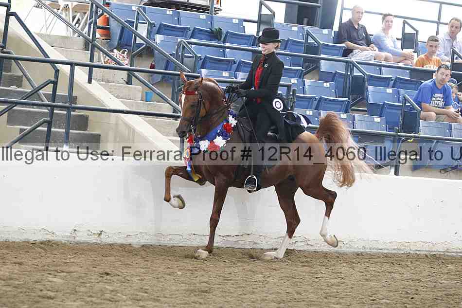Proof 12r14_4060