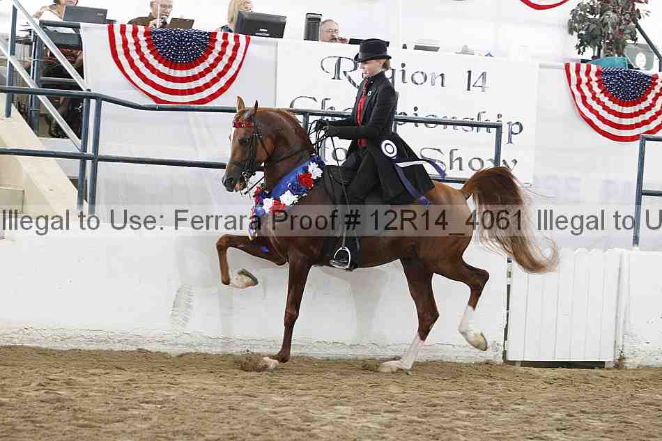 Proof 12r14_4061