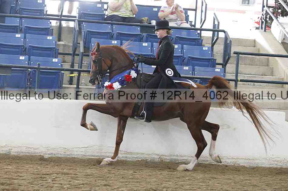 Proof 12r14_4062