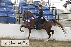 12r14_4062 proof