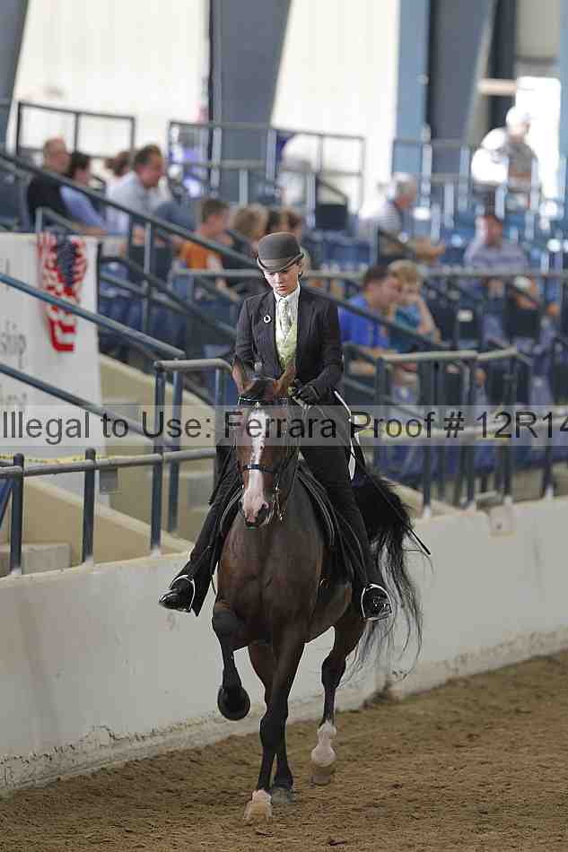 Proof 12r14_4063
