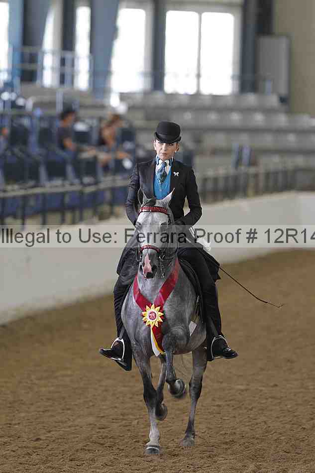 Proof 12r14_4065