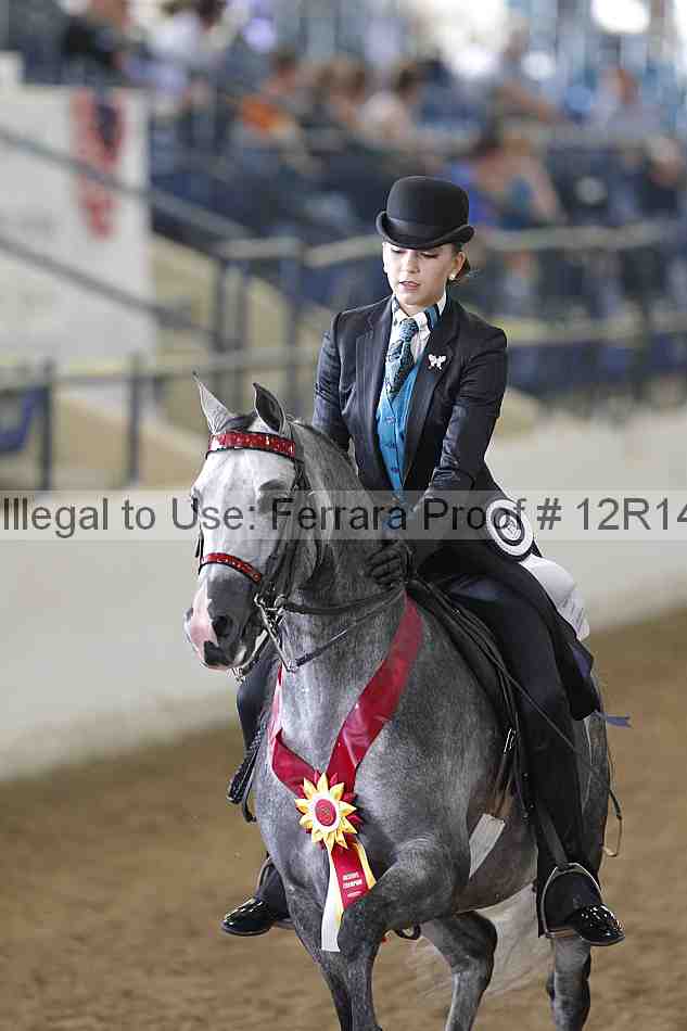 Proof 12r14_4066