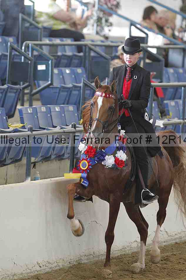 Proof 12r14_4068