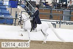 12r14_4076 proof