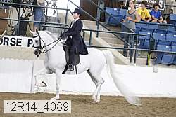 12r14_4089 proof