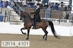 12r14_4101 proof