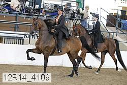 12r14_4109 proof