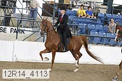 12r14_4113 proof